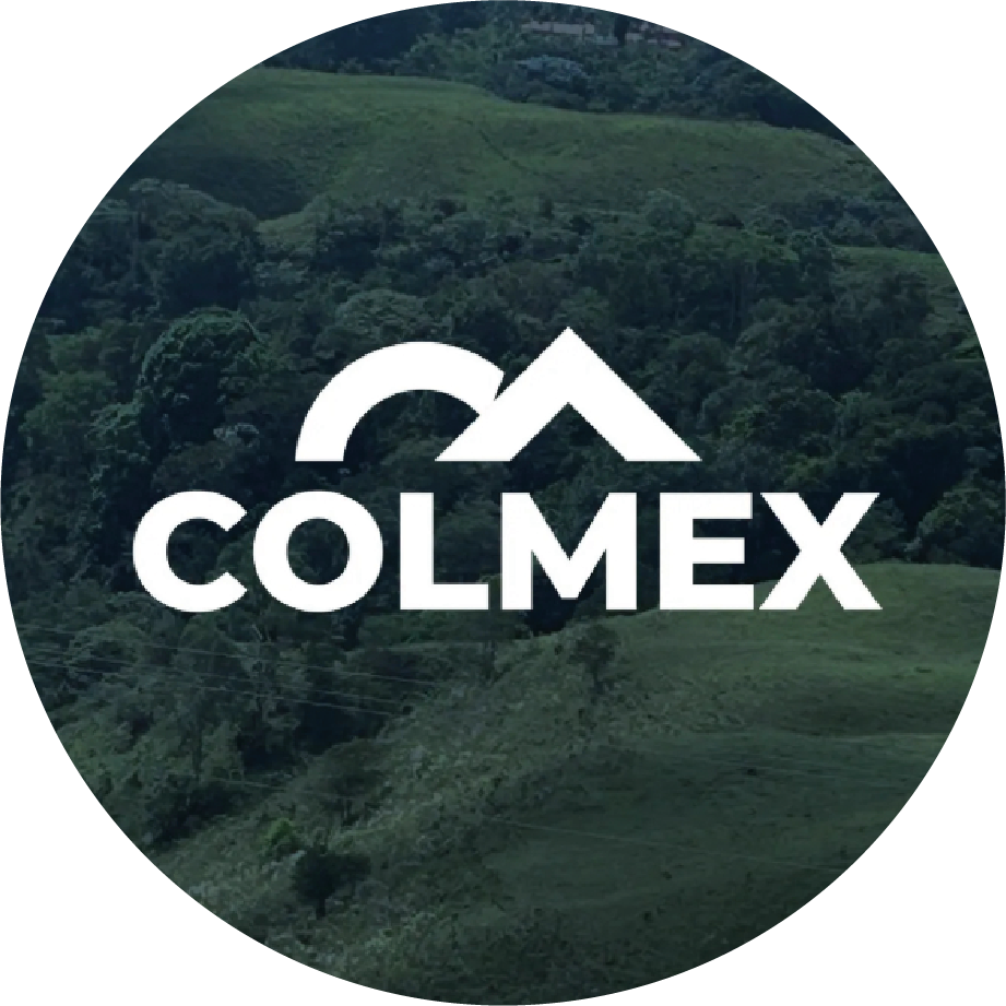 Logotipo de COLMEX sobre montañas verdes